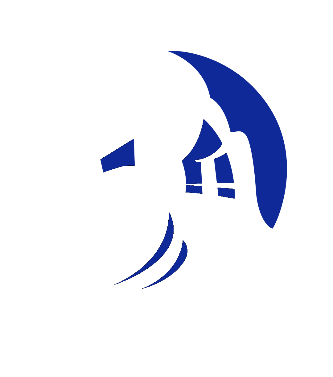 pride protections agency
