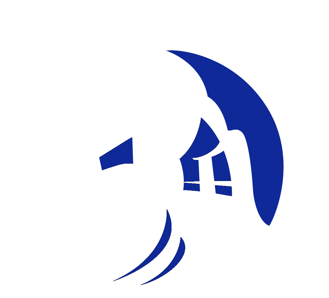 pride protection agency logo